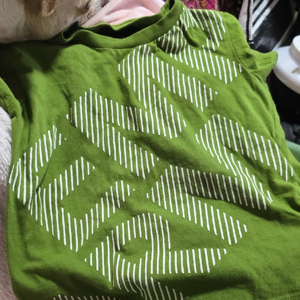 Emporio Armani Green Kids Tee with White Graphic 5A